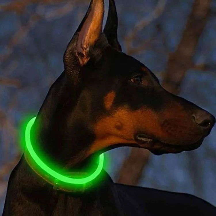 NightPup™ Safety Collar - Furrevermates