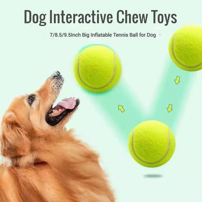 Oversized Fun: Giant Dog Playtime!