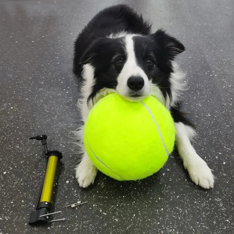 MegaFetch Ball