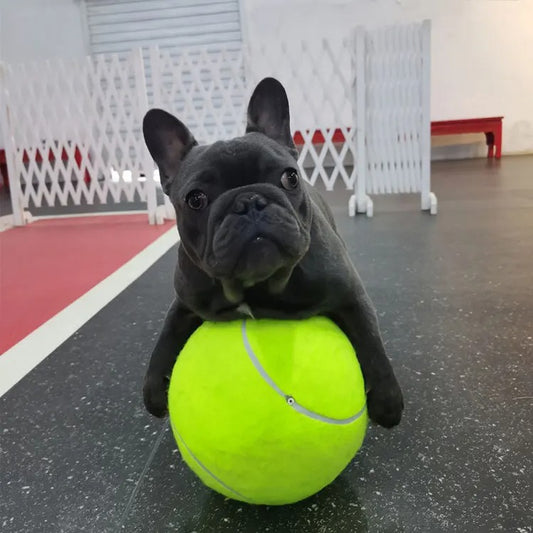 MegaFetch Giant Dog Tennis Ball Toy
